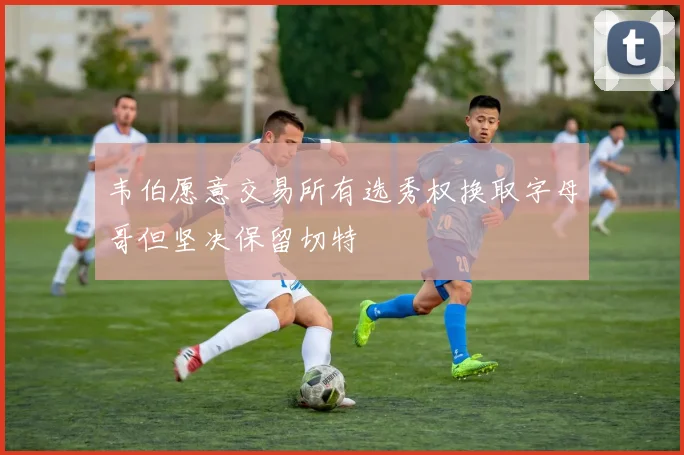 韦伯愿意交易所有选秀权换取字母哥但坚决保留切特