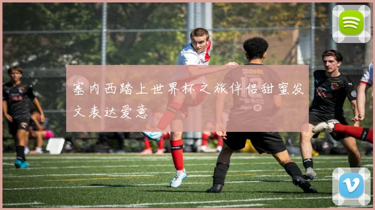 塞内西踏上世界杯之旅伴侣甜蜜发文表达爱意